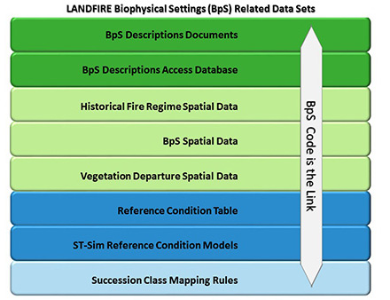 8 column table with BpS codes
