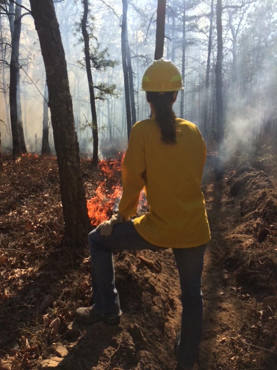 Person standing in a fire blaze in the forest
