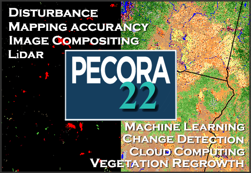 picture showing pecora articles