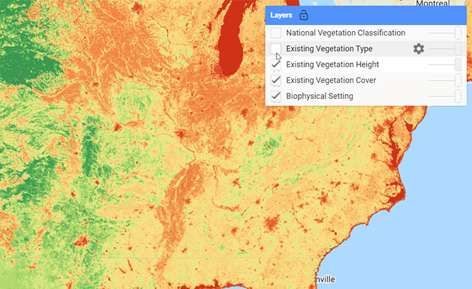 Awesome GEE Community