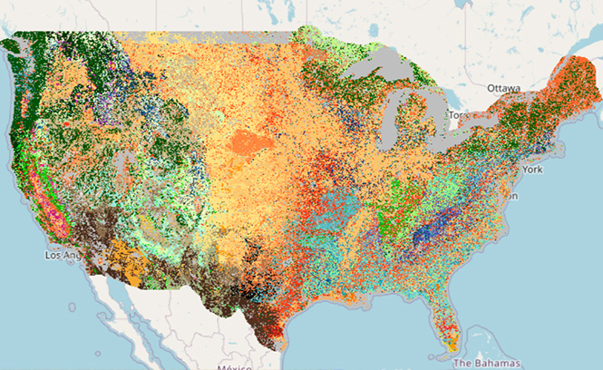 Full Extent Download