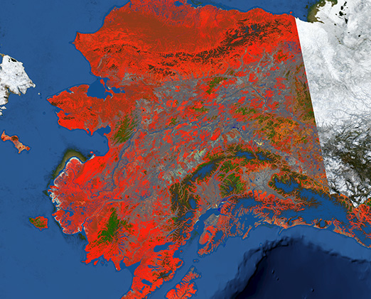 AK Ready Made Graphics Download