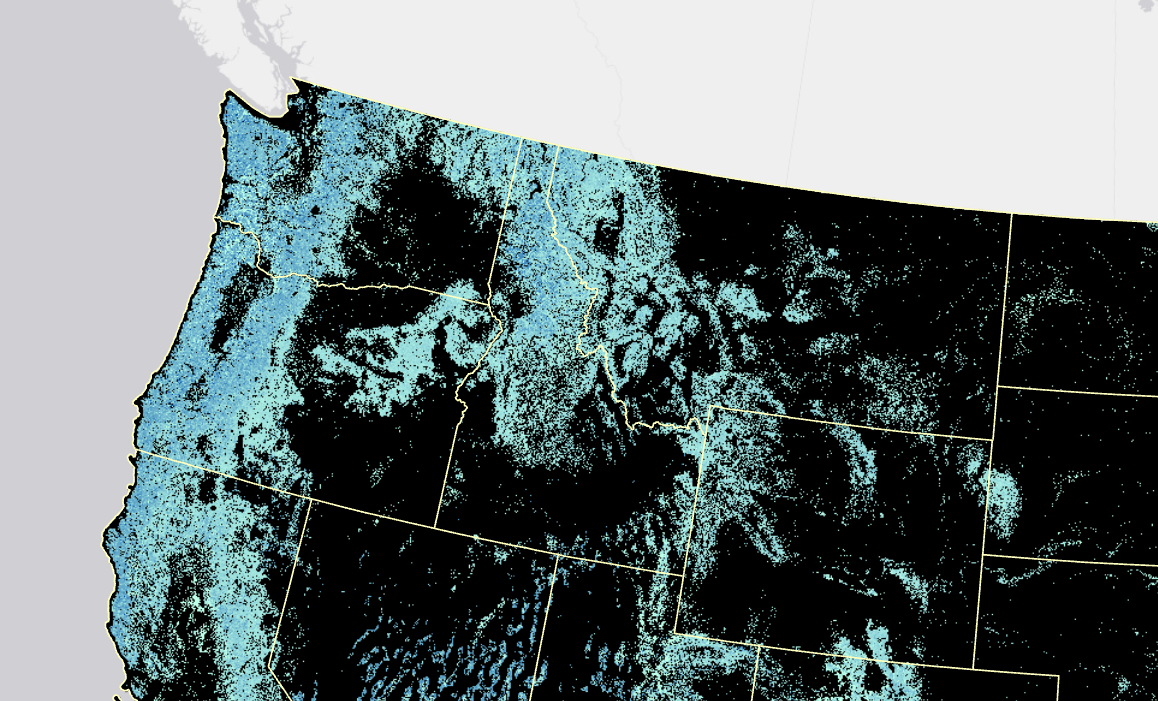 Image showing canopy bulk density in the upper corner of the U.S.