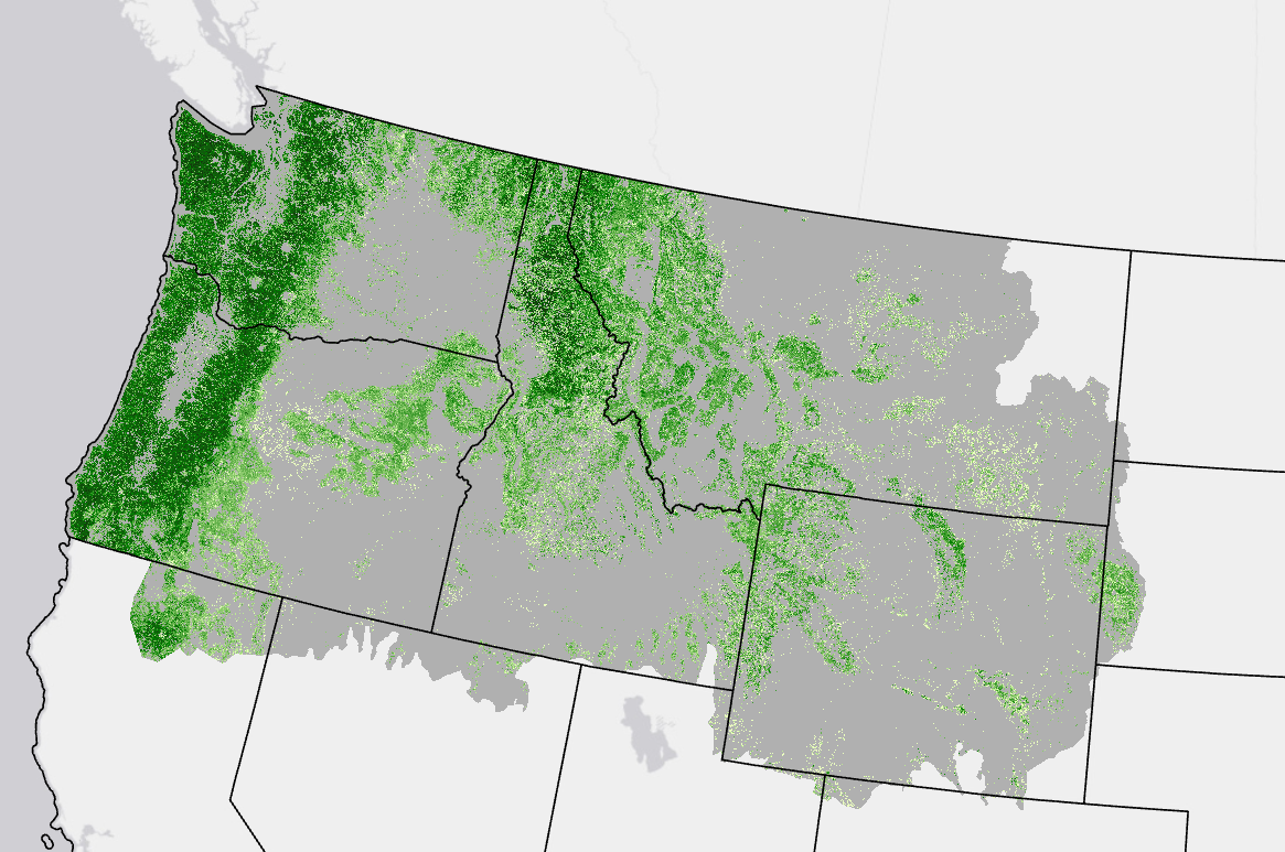 Image showing canopy cover in the upper NW corner of the U.S.