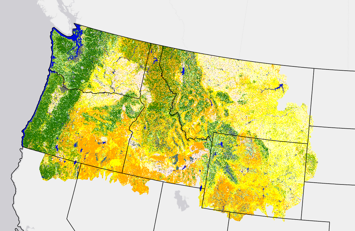 Image showing FBFM13 colors in the Upper NW corner of the U.S.