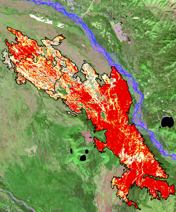 A landfire burn scar divided into four color classes